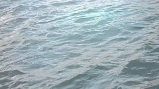 DSC 0133