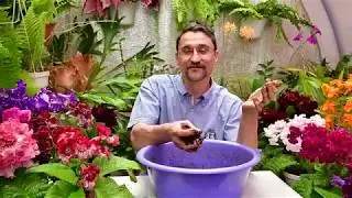 Что такое мокрый и влажный субстрат