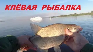 Рыбалка на подпуск.  Ловля леща на Волге.