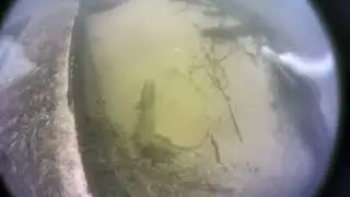 Корма колесного судна ?