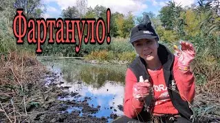 Коп 2020. Вот это я удачно зашла!