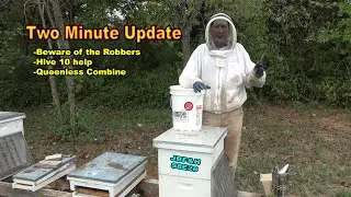 Two Minute Apiary Update 10-6-24 #beekeeping