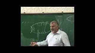 Жданов В  Г  Солнечные очки, глаза    Вопросы и ответы