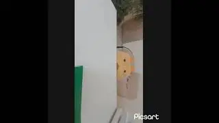 свежие видео Пса-блогера.