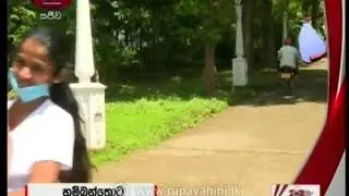 2020-08-05 | Rupavahini Sinhala News 12.30 pm
