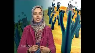 Factors resposible for Drug Receptor Interactions