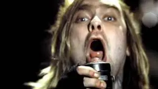 The Used - The Bird And The Worm (Video)