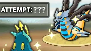Pokemon Shining Pearl but I can ONLY use SHINIES