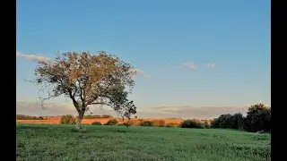 SLOVANSKÝ DVOR SLAVICA