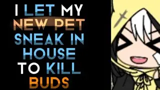 Budsforbuddies haters belike: Pt5