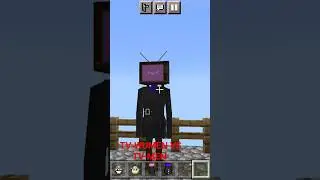 TV-WUMEN Vs TV-Men