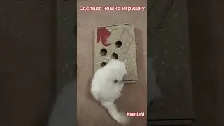 Игрушка для кошки своими руками