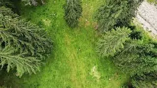 Nature Waterfall Short Video|Nature Lover Song WhatsApp Status Video with Forest Cool
