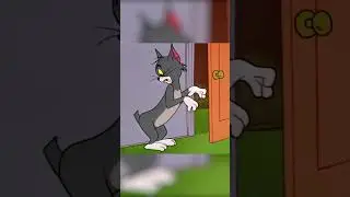 Tom kuyruğunu kaybediyor! 😂 