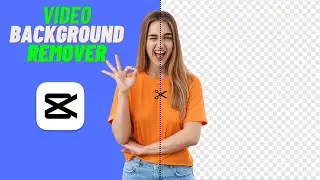 How To Remove Video Background Using Capcut On PC