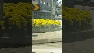 10 de setembro de 2024(2)