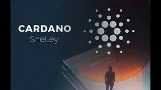 Cardano ADA Future Price And Shelley On Main Net