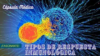 Tipos de Respuesta Inmunológica - Lo que tienes que saber