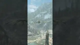 Skyrim but my Dragons are from Wish.com