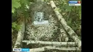 Вот где собака зарыта
