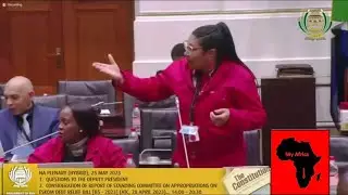 EFF Confuse Deputy President Paul Mashatile