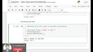 Python Programming: User Input and Conditionals - Practical Exercises for Beginners