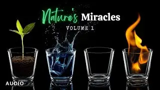 Nature's Miracles Volume 1: World Building and Life