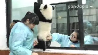 Broadcast Top Highlights 直播精彩集錦 科大上窗台