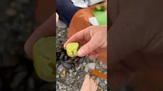 Кто не пьет коньяк 