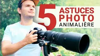 5 astuces faciles pour améliorer vos photos animalières