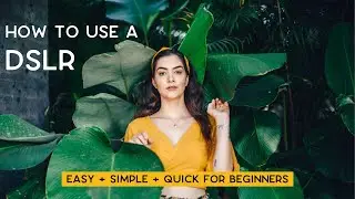 How To Use Manual Mode On Your DSLR Camera | Basic Camera Settings Explained For Beginners