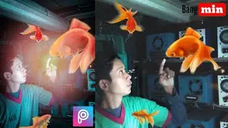 Fish _ edit foto _ manipulasi _ picsart