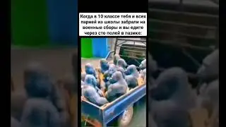 Пацаны поймут 