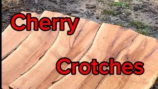 No Crotch Is Too Small