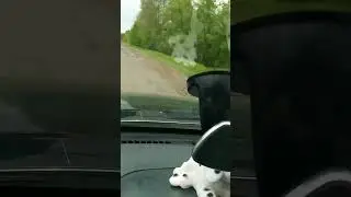 Дорога Тара-Усть-Ишим. 