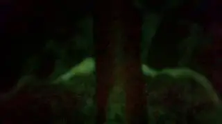 beach.avi