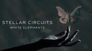 STELLAR CIRCUITS - White Elephants (OFFICIAL TRACK VISUALIZER)