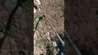 A little part of land scaping with one arm! Lol sorry for cutting the video short.