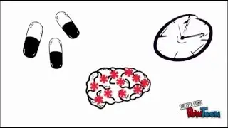 How Adderall affects your brain