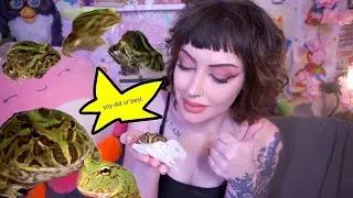 MEET MY NEW FROG! (My First New Pet in Years)