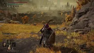 |Elden Ring|Прохождение с Саней|