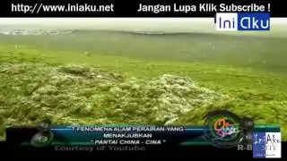 Penomena Alam Perairan Yang Menakjubkan