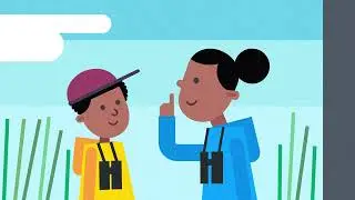 Birds Science People – BTO Strategy animation