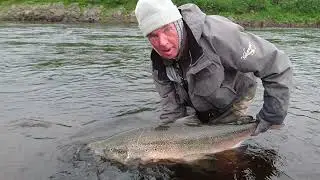 32 pound salmon from the Yokanga