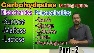 Lecture-11(P2)| CARBOHYDRATES | Storage & Structural Polysaccharides BONDING PATTERN Detail Examples