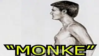 Go Back I Want To Be MONKEY...