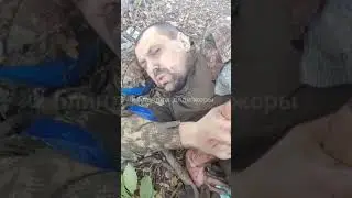 Пленные боевики ВСУ (курская область)