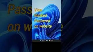 view masked password on website 