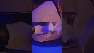 Редкий нож для любых нужд