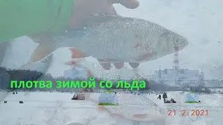 крупная плотва со льда -  зимняя рыбалка в феврале 2021 года